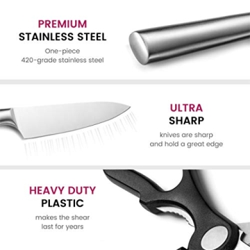 FineDine Stainless-Steel Kitchen Knife Set - 10 Pieces