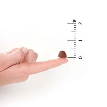 Garden of Life Organics Men 40+ Gummy Vitamins - Berry - Certified Organic, Non-GMO, Vegan, Kosher Complete Multi - Methyl B12, C & D3 - Gluten, Soy & Dairy Free, 120 Real Fruit Gummies