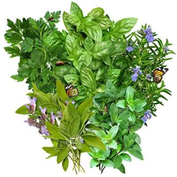 Seed Needs Italian Herb Seed Packet Collection - Non-GMO 5 Varieties