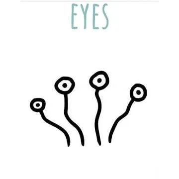 Kane Miller Draw Cartoon Monsters Art Cards for Kids