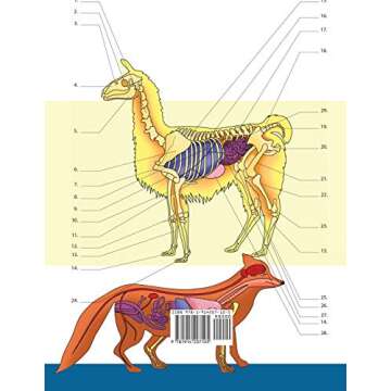 Veterinary & Zoology Coloring Book: 2-in-1 Compilation | Incredibly Detailed Self-Test Animal Anatom...