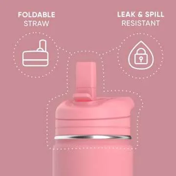 Hydrapeak 14oz Kids Insulated Water Bottle with Straw Lid, Bubblegum, 14.0 fl oz, Stainless Steel, T...