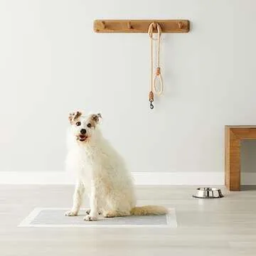 Amazon Basics Dog and Puppy Pee Pads with 5-Layer Leak-Proof Design and Quick-Dry Surface for Potty Training, Odor-Control Carbon, XL, 28 x 34 Inch - Pack of 50, Gray