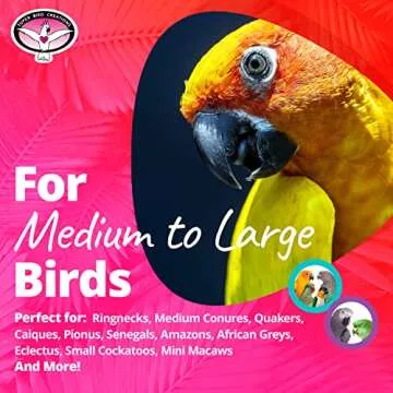 Super Bird Creations - SB126 Fold-Away Shower Window Perch - Ringnecks Medium Conures Parrots- Multi-Functional Bird Stand w/Heavy Duty Suction Cups - Stimulating Bird Toys for Large & Medium Birds