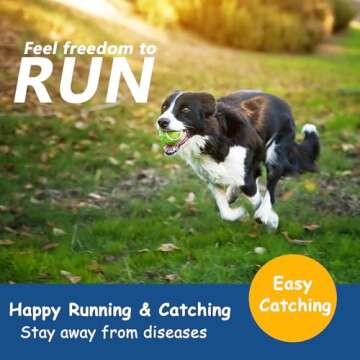 insum Dog Tennis Balls - 12 Pack 2.0'' Durable Non-Toxic Interactive Pet Toy Balls with Mesh Bag, SG...