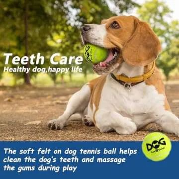 insum Dog Tennis Balls 12 Pack - Safe Non-Toxic Fetch Toys