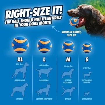 Chuckit! Ultra Squeaker Ball - Durable Fetch Toy for Dogs
