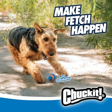 Chuckit! Ultra Squeaker Ball - Durable Fetch Toy for Dogs