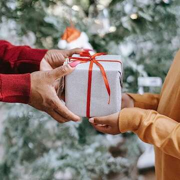 Tarot Cards for Beginners, 52 Tarot Deck and Oracle Deck, The Animals Cards with Meanings on Them and Tarot Cards with e-Guide Book Great Gift for Friend or Family