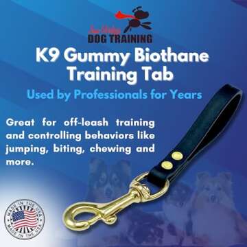 JIM HODGES DOG TRAINING Biothane Training Tab Leash for Dogs, Brass Hardware, No Pull with Easy Grip...
