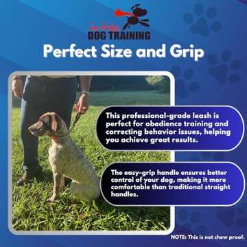 Professional Biothane Training Tab for Dogs | Made in USA