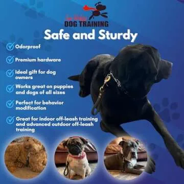 Professional Biothane Training Tab for Dogs | Made in USA