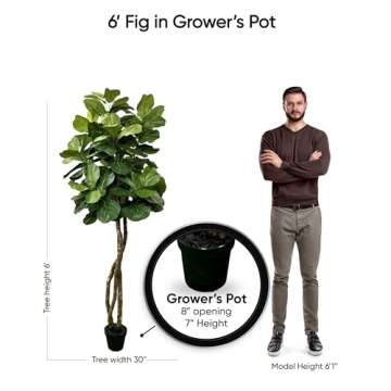 6ft Fiddle Leaf Fig Tree - Eco-Friendly & Handcrafted
