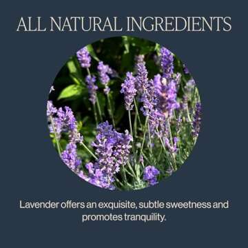 Rishi Tea Lavender Mint Herbal Tea - Organic, Caffeine Free Sachet Bags, Calming Lavender with Peppermint & Sage - 15 Count (Pack of 1)