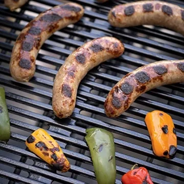 Weber Q1400 Electric Grill - Gray, Compact, and Versatile