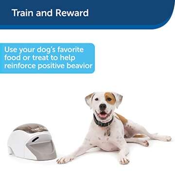 PetSafe Treat and Train Remote Reward Dog Trainer, Treat Dispending Dog Training System, Positive Re...
