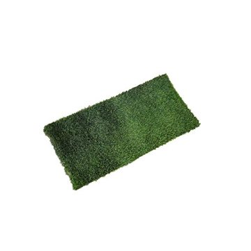 Fresh Patch Real Grass Potty Training Mat for Pets