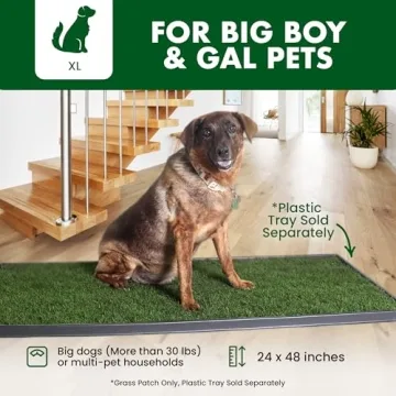 Fresh Patch Real Grass Potty Training Mat for Pets