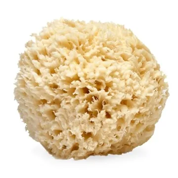 LATHER - Natural Sea Wool Sponge, 5-6" - Organic Exfoliating Body Scrubber - Soft, Gentle Cleansing ...