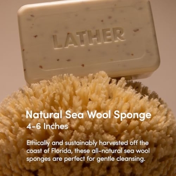 LATHER Natural Sea Wool Sponge - Soft Organic Body Scrubber