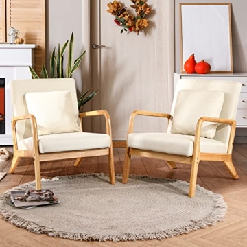 ELUCHANG Modern Comfortable Lounge Side Chair with Lumbar Pillow