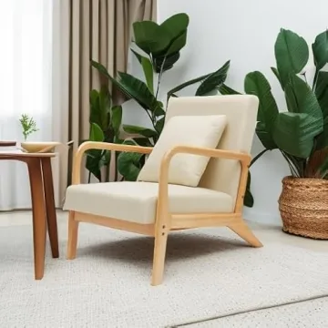 ELUCHANG Modern Comfortable Lounge Side Chair with Lumbar Pillow