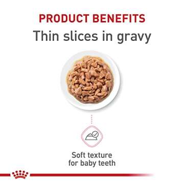Royal Canin Feline Health Nutrition Kitten Thin Slices in Gravy Canned Cat Food, 3 oz., Count of 24