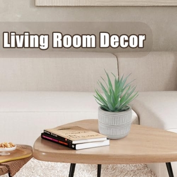 Der Rose Realistic Artificial Succulents for Home Decor