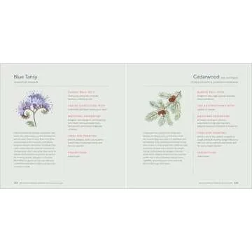 The Complete Book of Essential Oils for Mama and Baby: Safe and Natural Remedies for Pregnancy, Birth, and Children