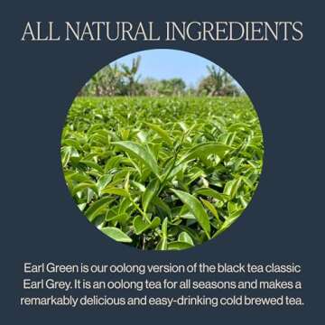 Rishi Tea Earl Japanese Green Tea with Bergamot - Organic & Low Caffeine Sachet Bags - 15 Count (Pack of 1)