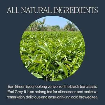 Rishi Tea Earl Japanese Green Tea with Bergamot - Organic & Low Caffeine Sachet Bags - 15 Count (Pack of 1)