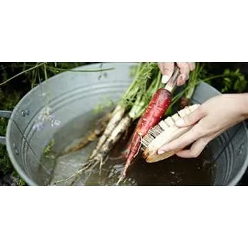 Farmhouse Organic Multi-Purpose Dish Cleaning Soap