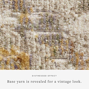 Loloi Chris Loves Julia Rosemarie Area Rug Stunning Comfort