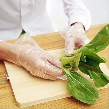 Brandon-super Disposable Food Prep Gloves 500 Pcs