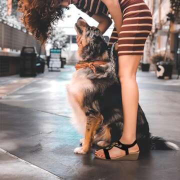 SHIBEVER Black Wedge Sandals for Women Dressy Summer Comfortable Rhinestone Sandals Open Toe Ankle S...