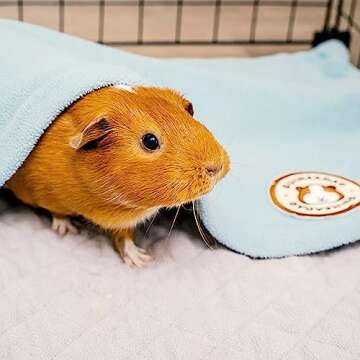 GuineaDad Blue Fleece Bedding for Guinea Pigs - Reusable Liner