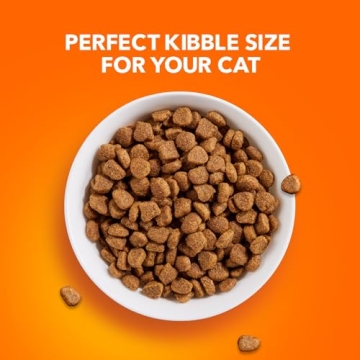 IAMS Proactive Health Dry Cat Food with Chicken 22 lb