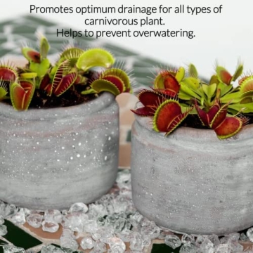 Professional Carnivorous Plant Soil 2.2 Quarts Ready to Use