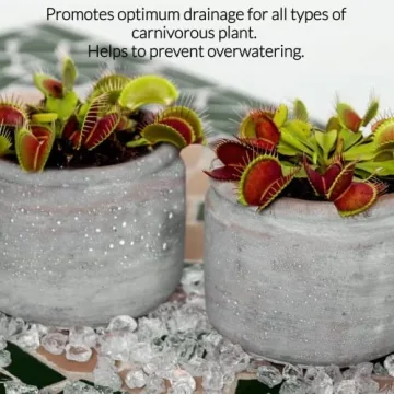 Professional Carnivorous Plant Soil 2.2 Quarts Ready to Use