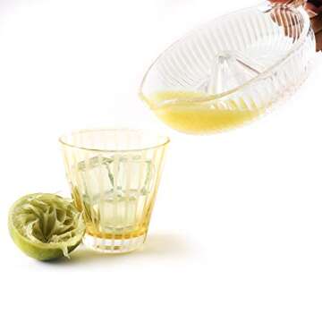 Norpro Glass Citrus Juicer - Fresh Juice Made Easy