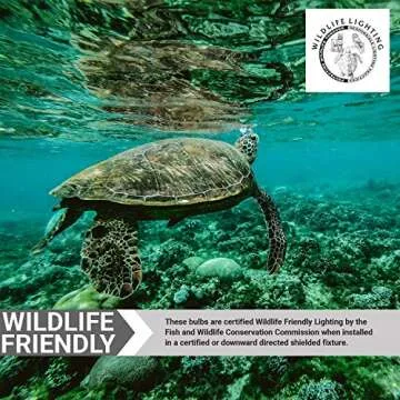 Sunlite A19/3W/O/LED LED A19 Colored Light Bulb, 3 Watts (25w Equivalent), E26 Medium Base, Non-Dimmable, UL Listed, 1 Count (Pack of 1), Orange