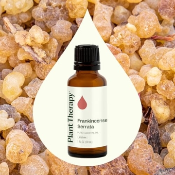 Plant Therapy Frankincense Serrata Essential Oil 30 mL