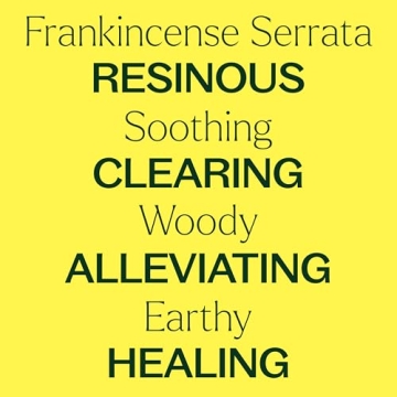 Plant Therapy Frankincense Serrata Essential Oil 30 mL