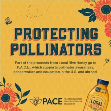 Rocky Mountain Raw Unfiltered Honey Pure Natural 32oz