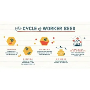 Rocky Mountain Raw Unfiltered Honey Pure Natural 32oz