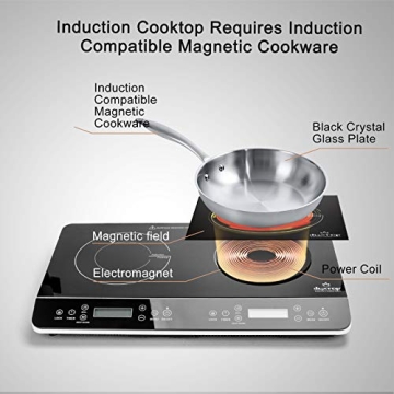 Duxtop 1800W Double Induction Cooktop Fast Safe Portable