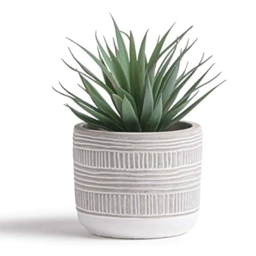 Kurrajong Farmhouse Artificial Plant | 8" Fake Plant for Desk Decor | Artificial Succulent in Pot | Fake Succulent | Faux Plant Indoor | Succulent Plant Artificial | Faux Succulent for Shelf Decor