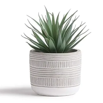 Kurrajong Farmhouse Artificial Plant | 8" Fake Plant for Desk Decor | Artificial Succulent in Pot | Fake Succulent | Faux Plant Indoor | Succulent Plant Artificial | Faux Succulent for Shelf Decor