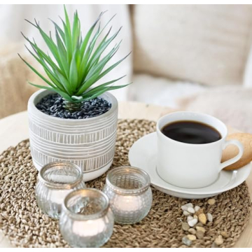 Kurrajong Farmhouse Artificial Plant | 8" Fake Plant for Desk Decor | Artificial Succulent in Pot | Fake Succulent | Faux Plant Indoor | Succulent Plant Artificial | Faux Succulent for Shelf Decor