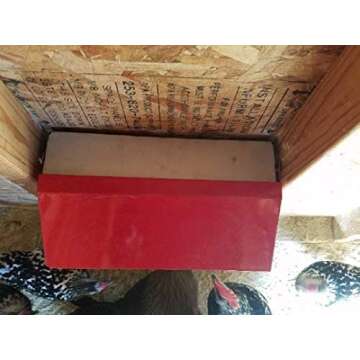 DUNCAN'S FAMILY FARM STORE Space Saving Mountable Steel Poultry Feeder (Front Feed, Front Loading)